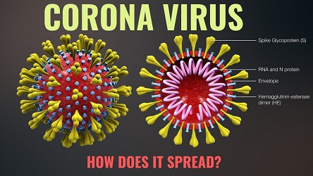 Wabah Virus Corona Baru Telah Menewaskan Lebih dari 20.000 Orang di Timur Tengah